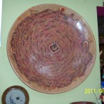 camara jun08.11 041