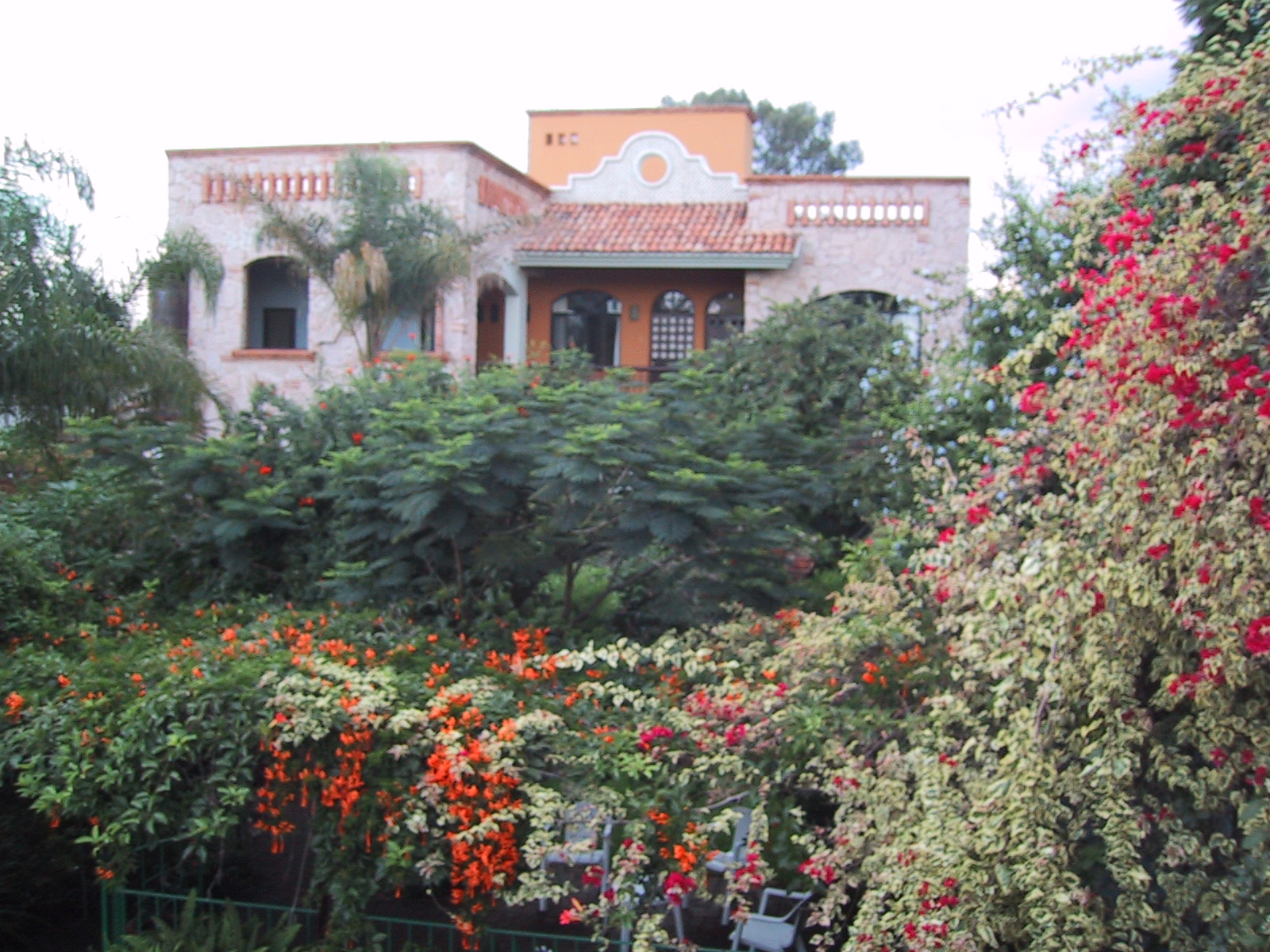 Guadalajara Mexico's Casa de las Flores Bed and Breakfast's vista