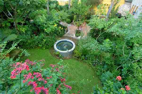 Guadalajara Mexico's Casa de las Flores Bed and Breakfast's garden