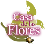 Casa de las Flores Bed and Breakfast in Tlaquepaque, Jalisco, Mexico